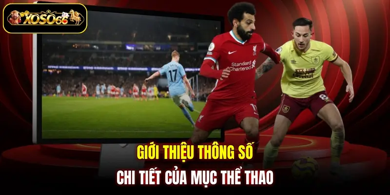 Giới thiệu thông số chi tiết của mục thể thao