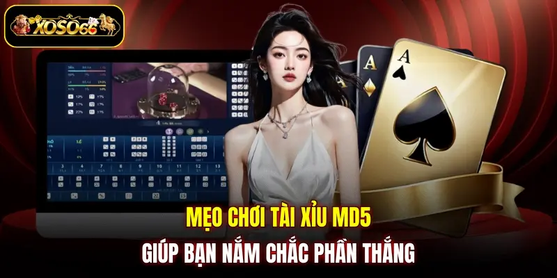 Mẹo chơi Tài Xỉu MD5 giúp bạn nắm chắc phần thắng