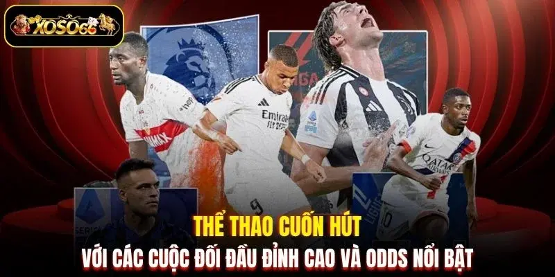 the thao cuon hut voi cac cuoc doi dau dinh cao va odds noi bat Thể thao cuốn hút với các cuộc đối đầu đỉnh cao và Odds nổi bật